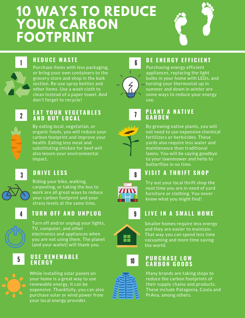 How to reduce carbon footprint